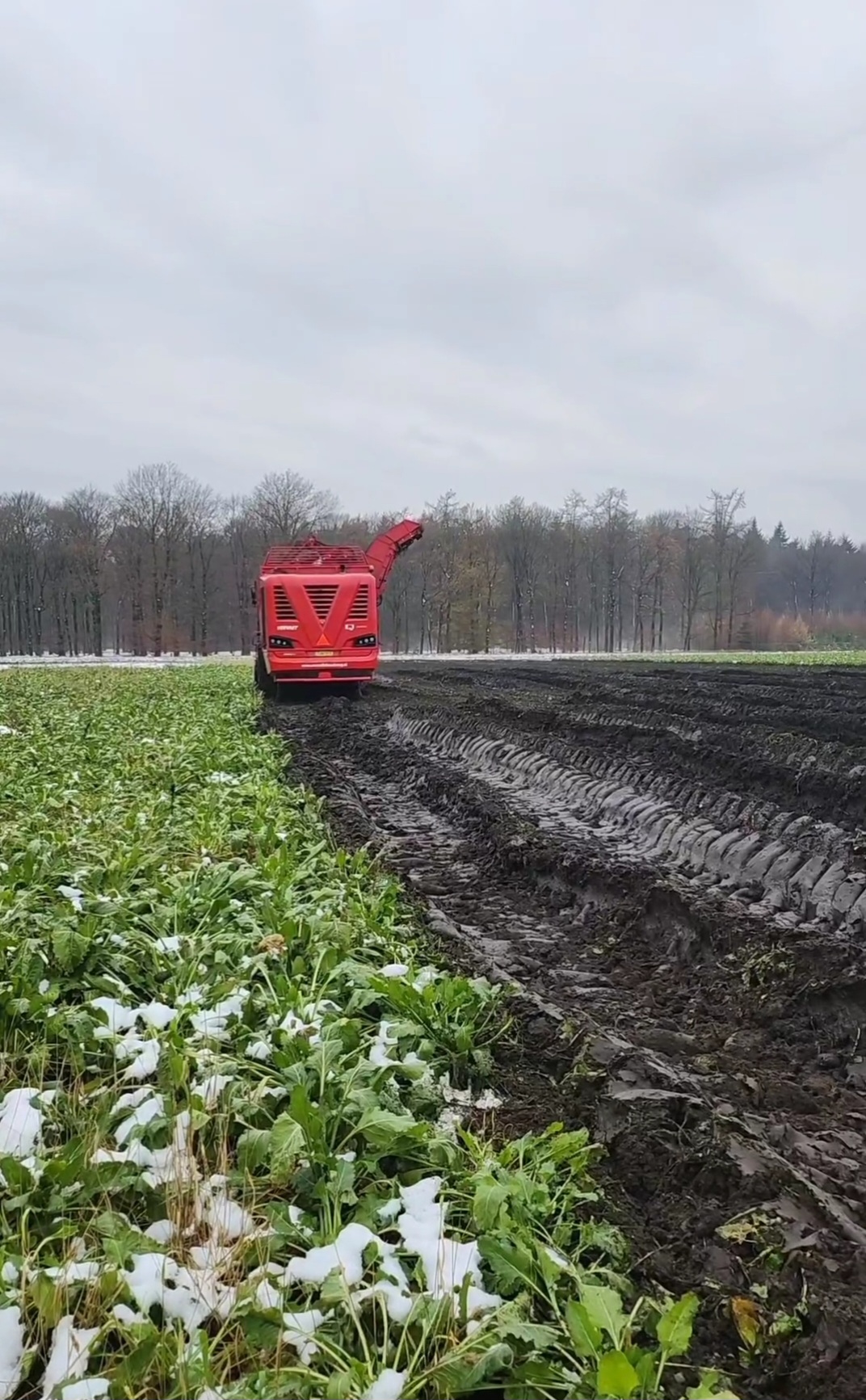 Einde oogst 2023. Einde oogst 2023.