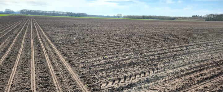 Voorjaar 2024. Voorjaar 2024.