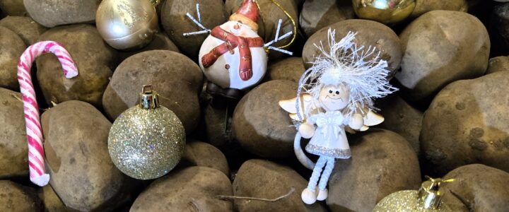 Fijne kerst en een goed 2025.